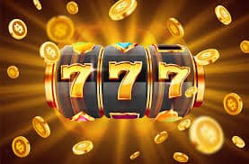 28wim